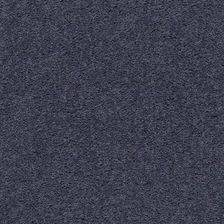 Devonia-Discovery (1)