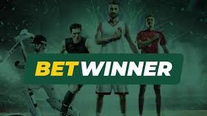 BetWinner Platform Your Ultimate Guide to Online Betting