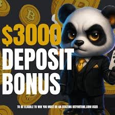 Beginner's Guide to Bitcoin Football Betting Understand and Win