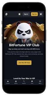 Bitfortune Payment Methods Explained Step by Step Bitfortune Payment Methods Explained Step by Step