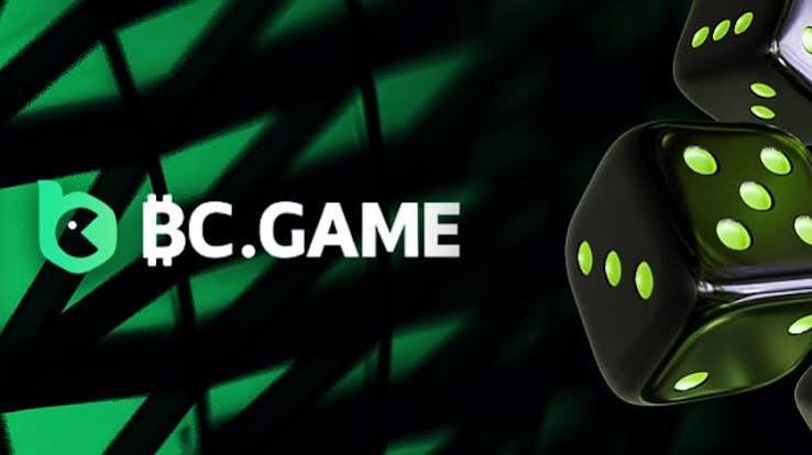 Everything You Need to Know About Playing on BC.Game 811736802